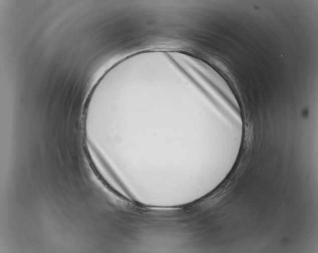 X0000115011487200912071152