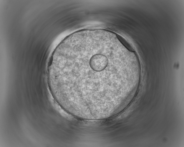 X0000115011488200912071152