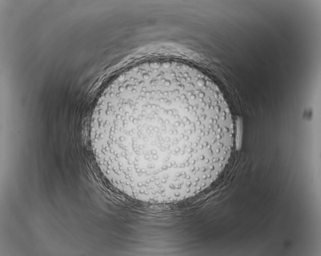 X0000115011491200912071151