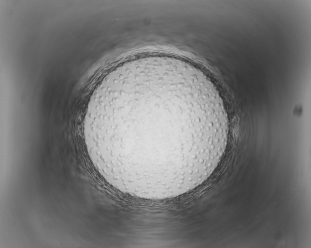 X0000115011495200912071151