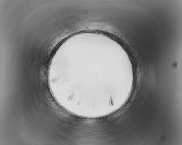 X0000115011497200912071151