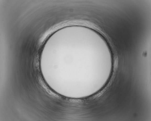 X0000115011498200912071151