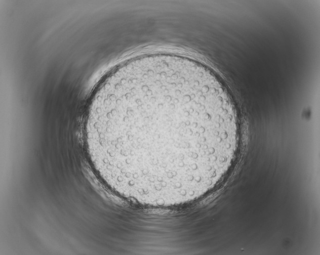 X0000115011499200912071151