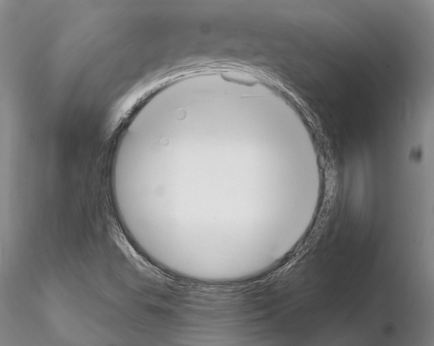 X0000115011503200912071151