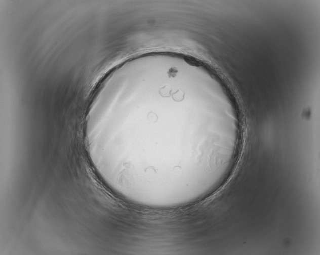 X0000115011505200912071152
