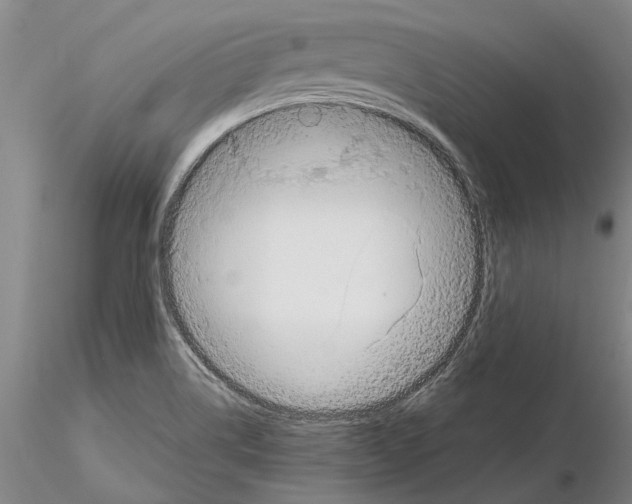 X0000115011514200912071152