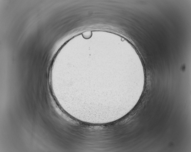 X0000115011515200912071152