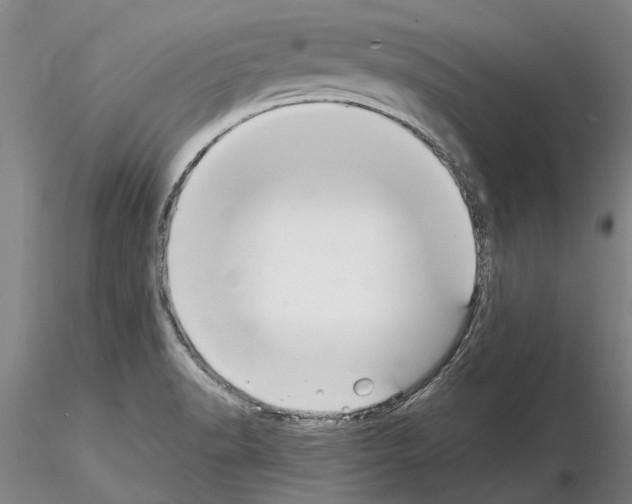 X0000115011518200912071152