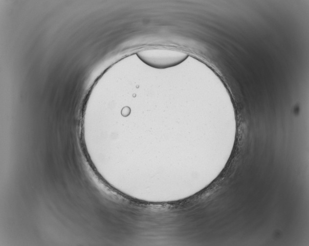 X0000115011523200912071152