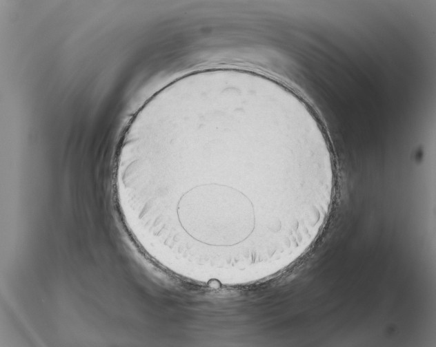 X0000115011525200912071152