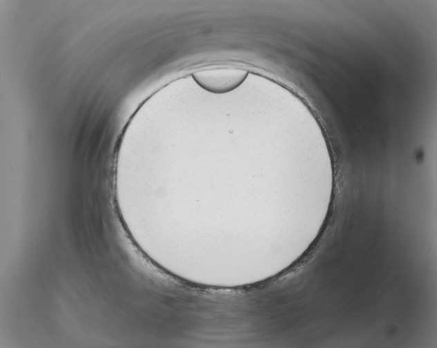 X0000115011526200912071152