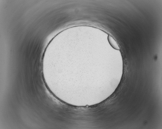 X0000115011527200912071152