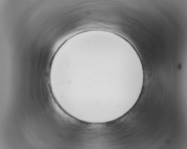 X0000115011531200912071152