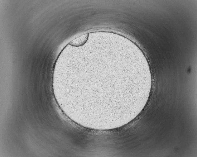 X0000115011534200912071152
