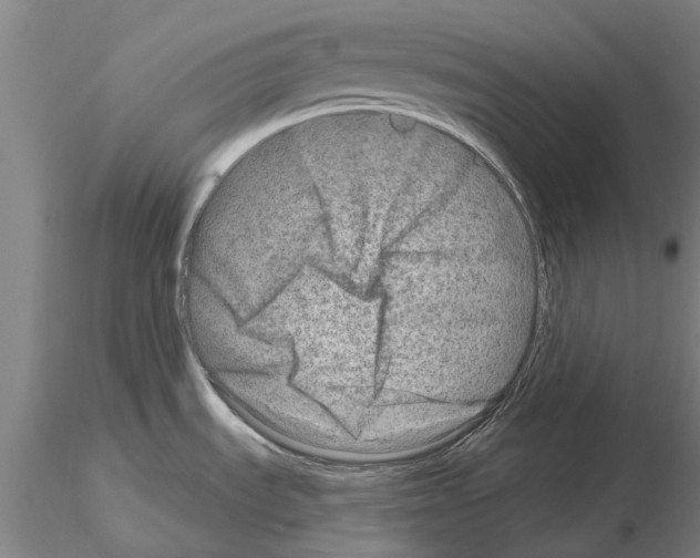 X0000115011535200912071152