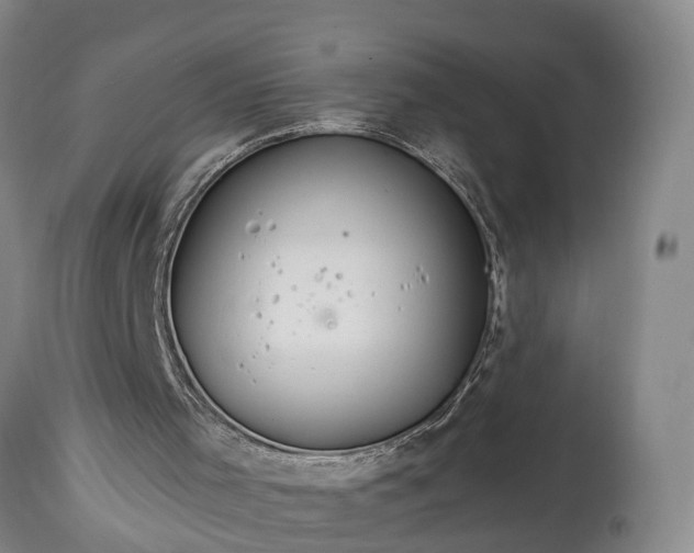 X0000115020001200911091453