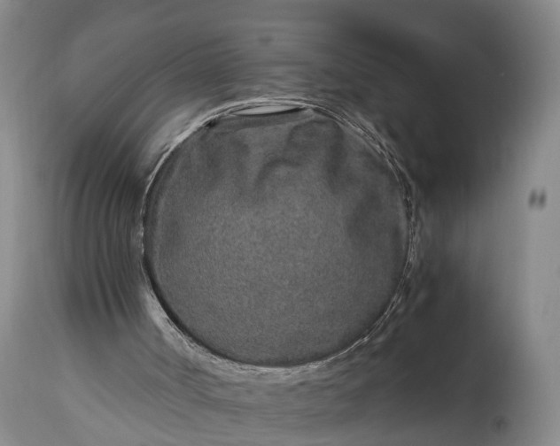 X0000115020002200911091453