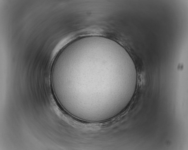 X0000115020004200911091453