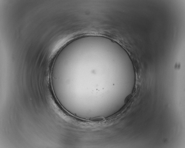 X0000115020005200911091453