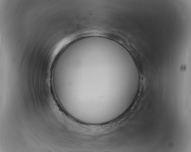 X0000115020006200911091453