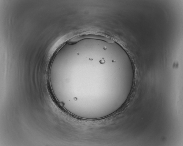 X0000115020007200911091453