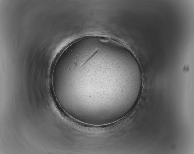 X0000115020008200911091453