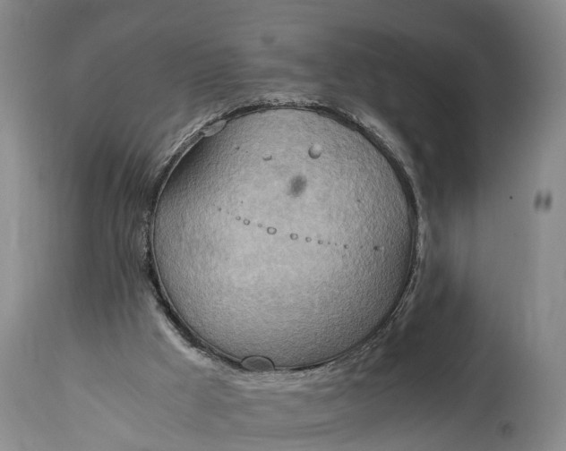 X0000115020009200911091453