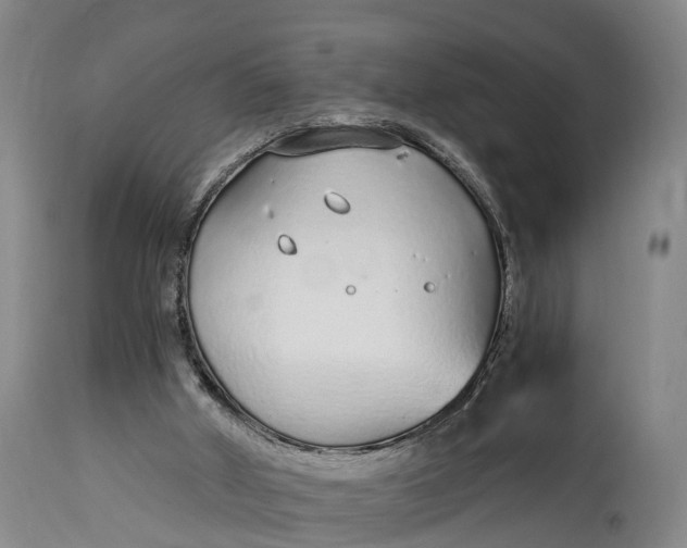 X0000115020010200911091453