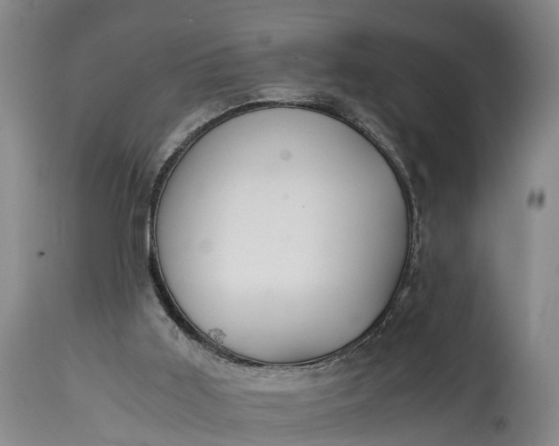 X0000115020011200911091452