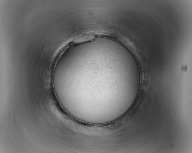 X0000115020012200911091452