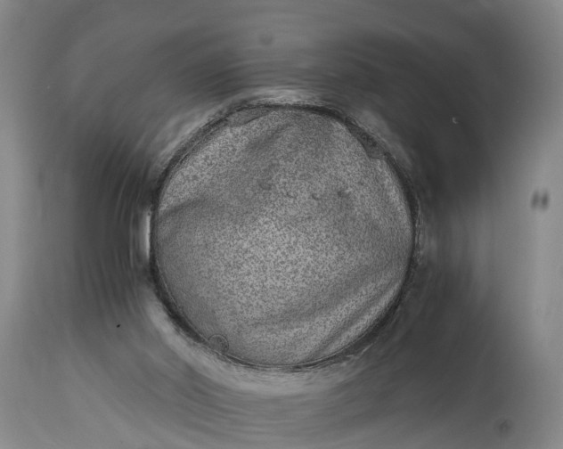 X0000115020014200911091452