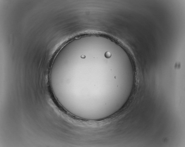 X0000115020015200911091452