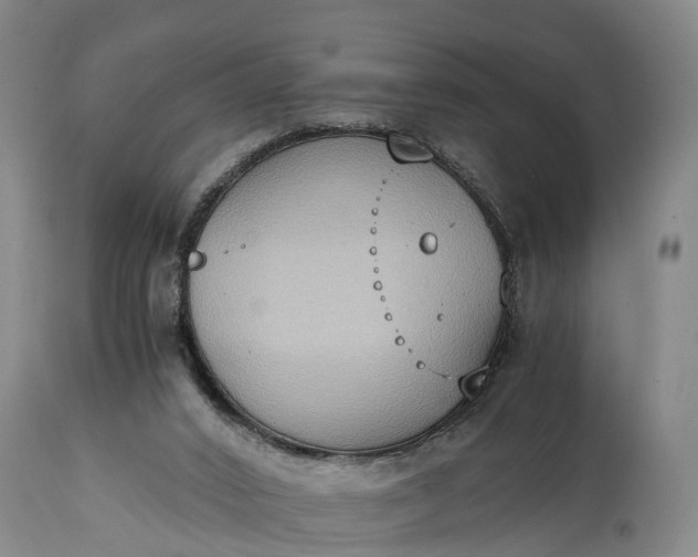 X0000115020016200911091452