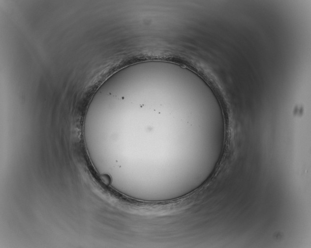 X0000115020017200911091452