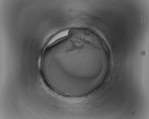 X0000115020019200911091452