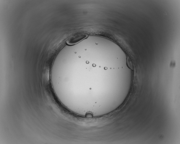 X0000115020021200911091452