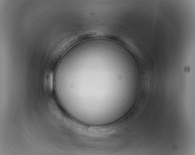 X0000115020022200911091452