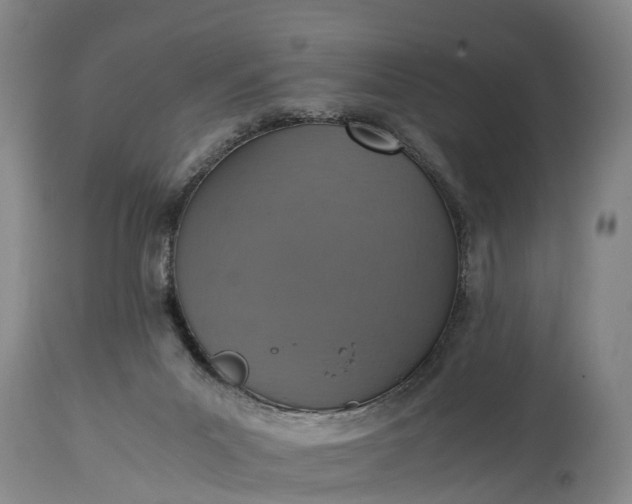 X0000115020023200911091452