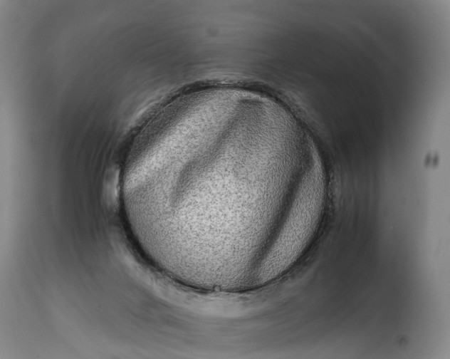 X0000115020024200911091452