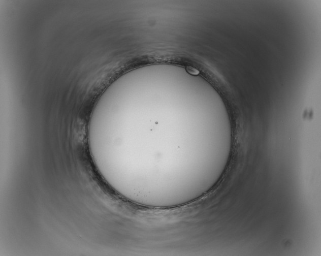 X0000115020025200911091452