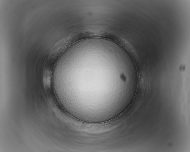 X0000115020026200911091452