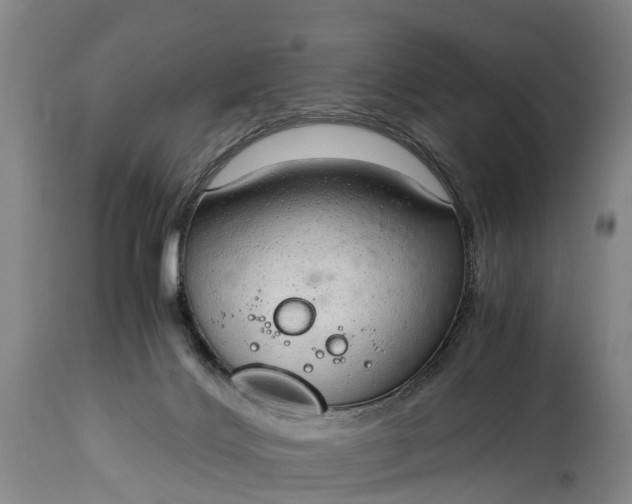 X0000115020028200911091452