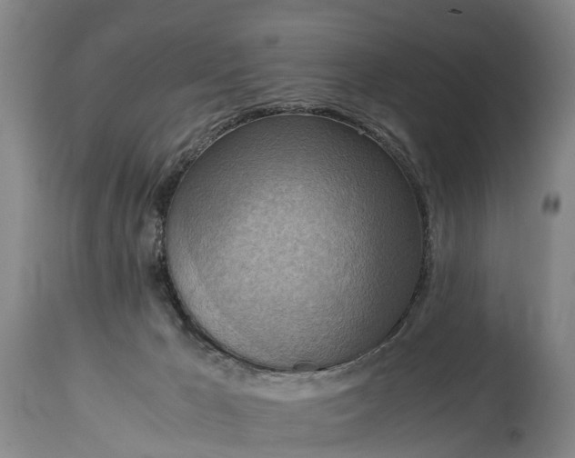 X0000115020029200911091452