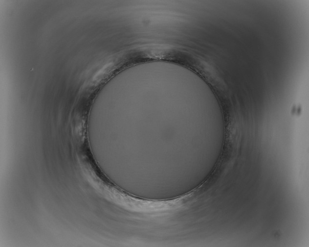 X0000115020031200911091452