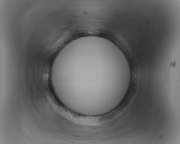 X0000115020032200911091452