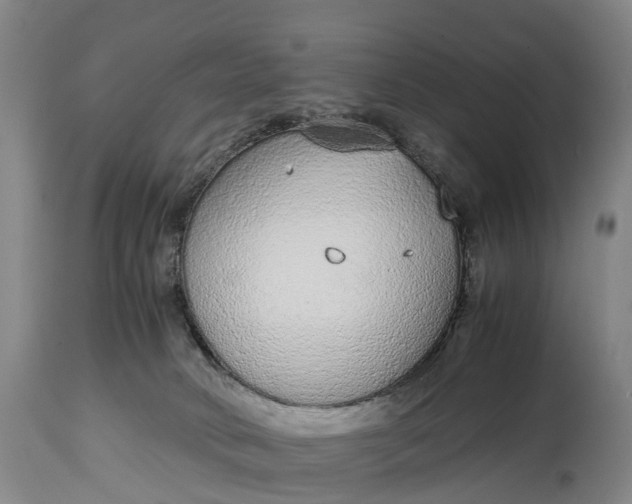 X0000115020034200911091452