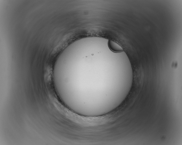 X0000115020038200911091452