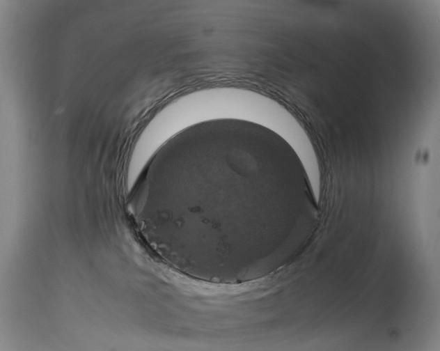 X0000115020039200911091452