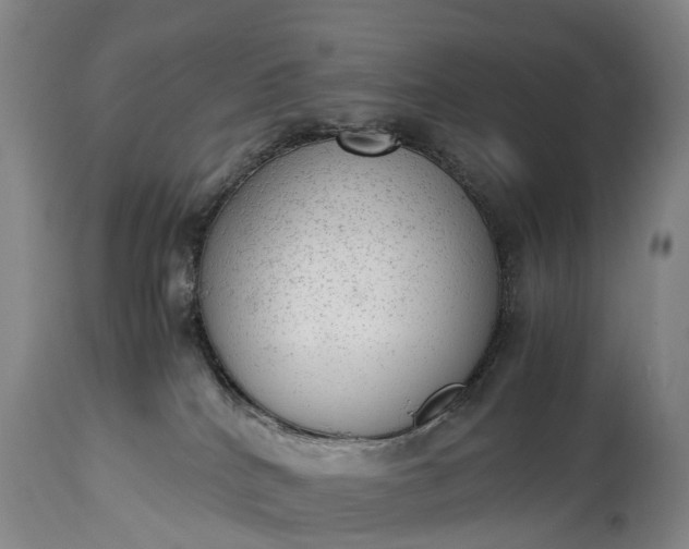 X0000115020040200911091452