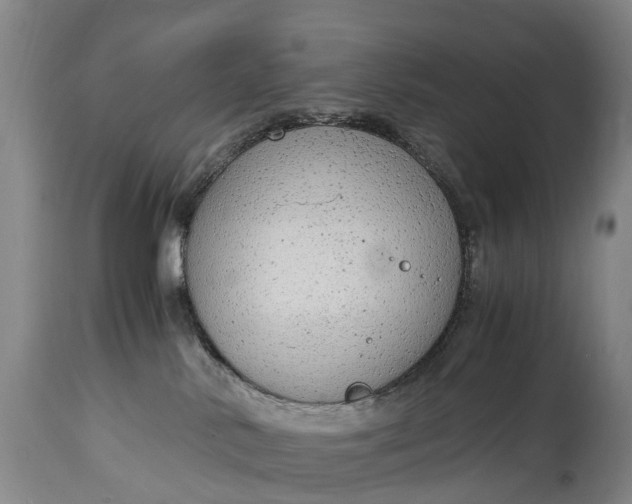 X0000115020042200911091452